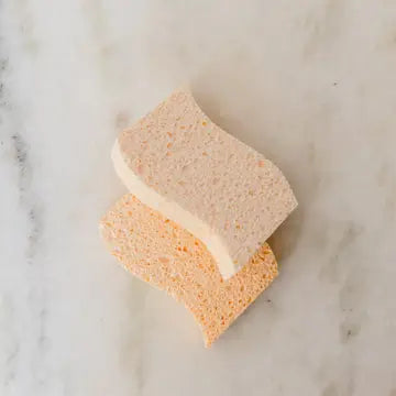 cellulose kitchen sponge