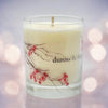 Winter Berries + Branches Candle - Wassail