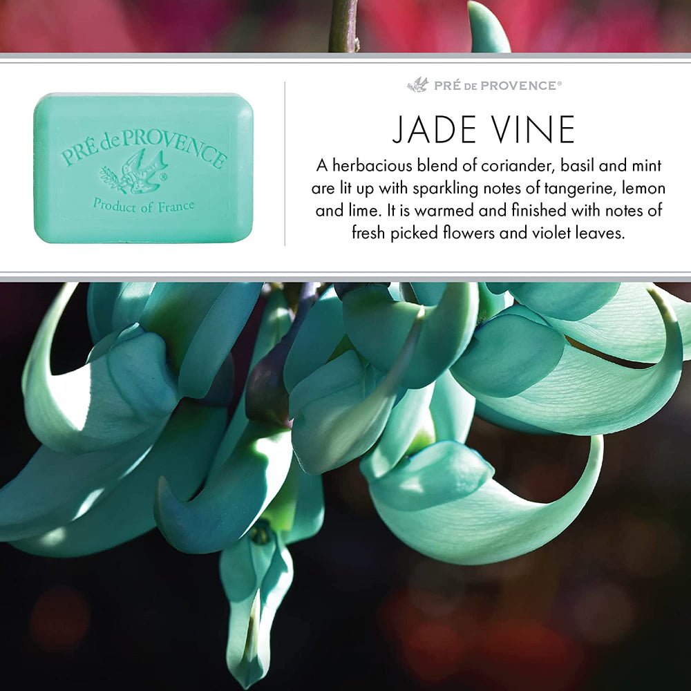 jade vine soap bar